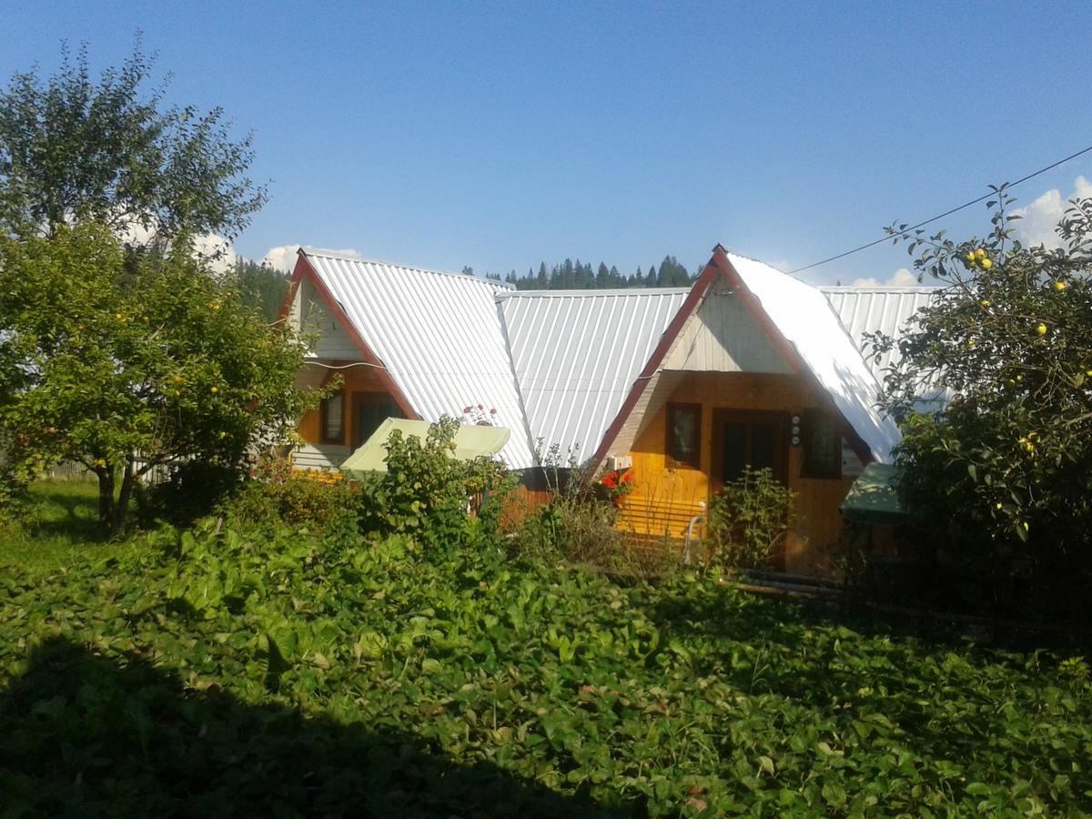 Casa Florea Poiana Stampei Экстерьер фото