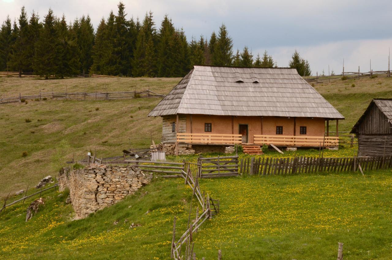 Casa Florea Poiana Stampei Экстерьер фото